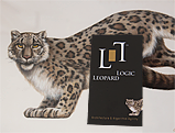 Illustration art direction for Leopard Logic; illustration, Ken Michaelsen
