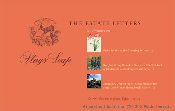 Amaryllis Illustration 1 - illustration in layout; newsletter design, Colored Horse Studios