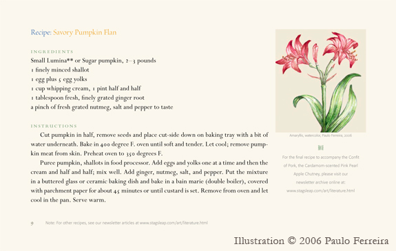 Amaryllis Illustration 1 - illustration in layout; recipe, Shannon Hughes