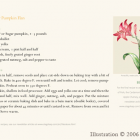 Amaryllis Illustration 1 - illustration in layout; recipe, Shannon Hughes