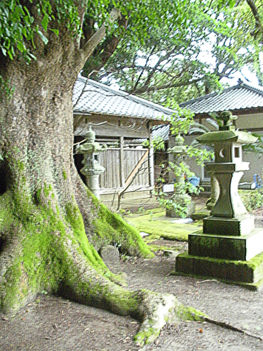 Kisami Temple