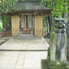 Temple at the wasabi farm