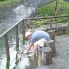 Walt using the facilities