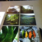 Stonestreet Tasting Room Environmental Design - photography, Olaf Beckmann